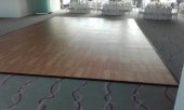 Ring de Dans Profesional