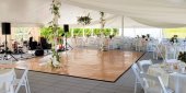 Ring de Dans Profesional